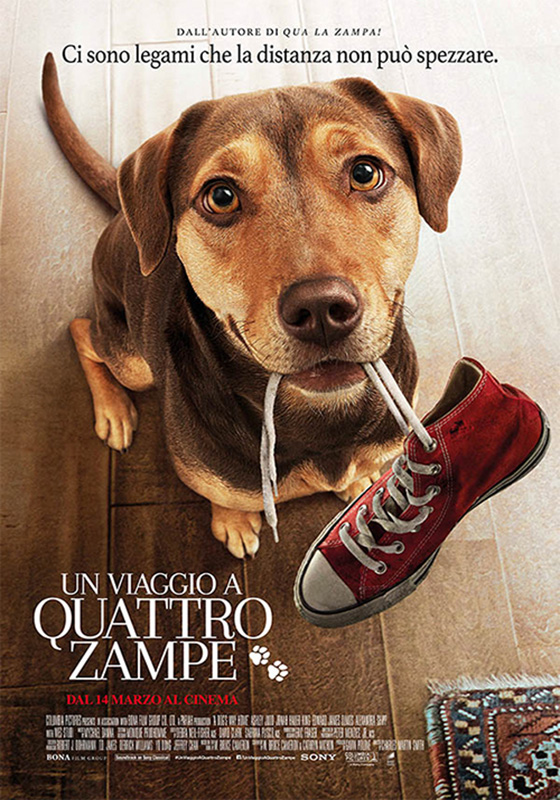 Un viaggio a quattro zampe (2019)