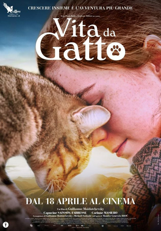 Vita da Gatto (2024)